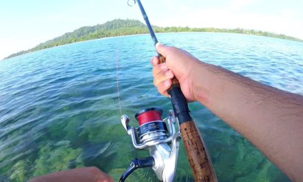 Flair – Catching Fish in ULTRA Clear Water!!!