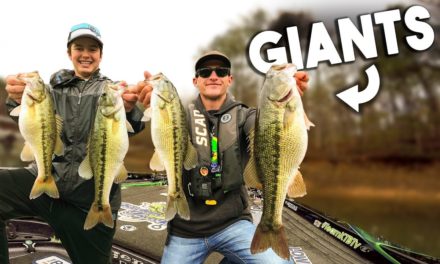 Fishing For GIANT Winter SPOTTED BASS