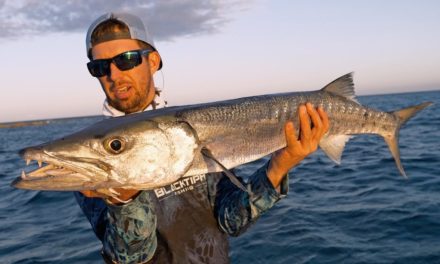BlacktipH – Fishing for Barracuda and Giant Houndfish in the Bahamas – 4K