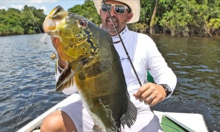 LakeForkGuy – Giant Peacock Bass Crushes Spinnerbait | Fishing Amazon River pt.7