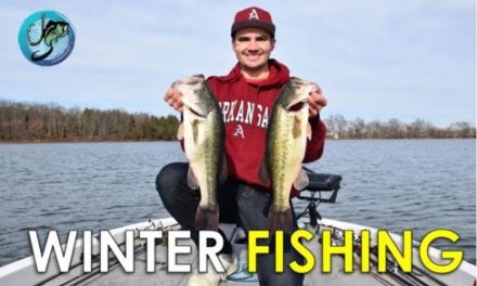 How to Find and Catch Winter Bass Fast