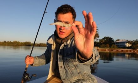 Lawson Lindsey – Is This Tiny Lure The Best Saltwater Lure Ever?