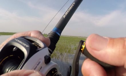 Lake Okeechobee Bass Fishing is on Fire…(see the baits and aerial shots of the area)