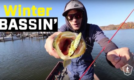 Suspended Winter Bass Fishing Tips – 3 Ways To Catch ‘Em!