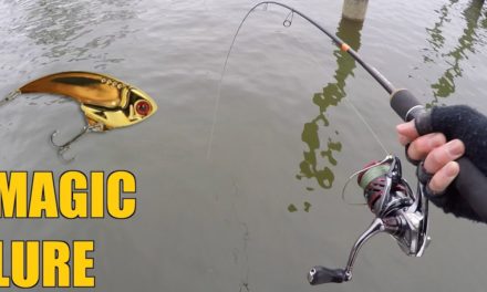 This Lure SLAYS Winter Bass!!! (Cold Water Fishing Tips)