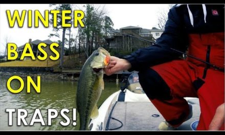 Throwing Lipless Crankbaits in 2ft of Water for Winter Bass!