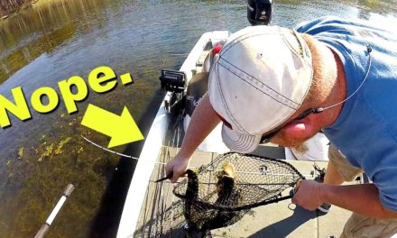 Unexpected DANGEROUS Catch while Bass Fishing!!! (Almost got bit!!)