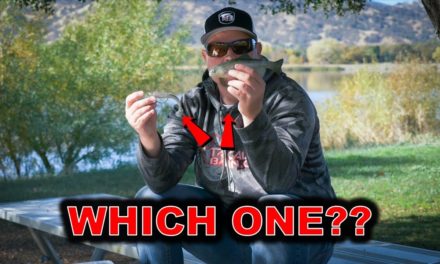 Winter Bass Fishing Baits That Actually Catch Fish!
