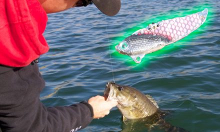 LakeForkGuy – Winter Bass Fishing Tips for Deep Bass- Spoons and Buddy Blades