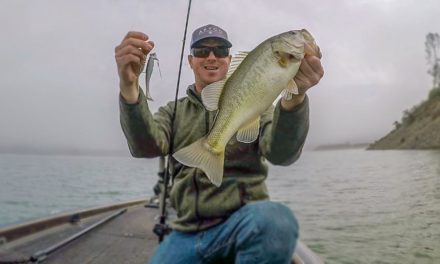 How To Catch Bass On Any Lake!