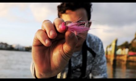 Lawson Lindsey – This Tiny Lure CRUSHES Saltwater Fish