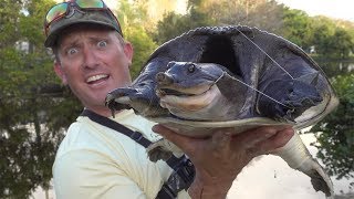 Backyard Fishing Bonanza! Large Mouth Bass, Freshwater Snook and a MASSIVE soft-shell Turtle