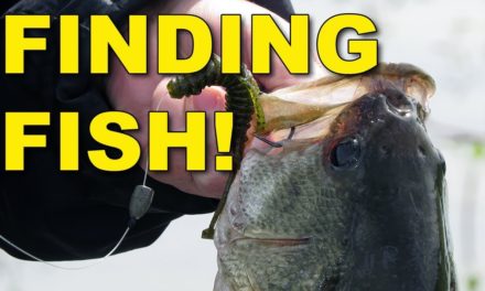 Baits For Finding Fish | Bass Fishing
