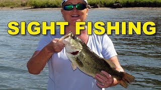 Sight Fishing – The Key To Success | Bass Fishing