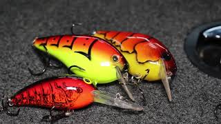 TOP 3 Squarebill Crank Colors for Spring Bass Fishing
