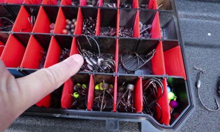 FlukeMaster – The Most Important Box in my Bass Fishing Tackle – How to Fish