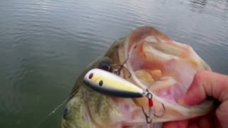 Top Water Largemouth Bass Fishing With Poppers.