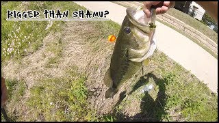 @CATCH EM ALL FISHING! I NOW HAVE BIGGEST BASS ON YOUTUBE! BIG OL BUCKET MOUTH!