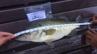 Bank Fishing Tournament – The Aidan Ford Bassmaster Classic at Centennial Lake in MD