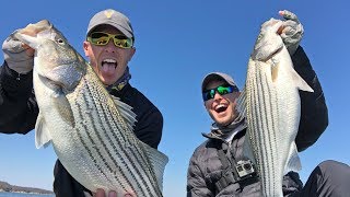 LakeForkGuy – Big Striped Bass Crushing Bass Lures