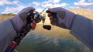 LakeForkGuy – Catching Over 100 Bass in 1 DAY