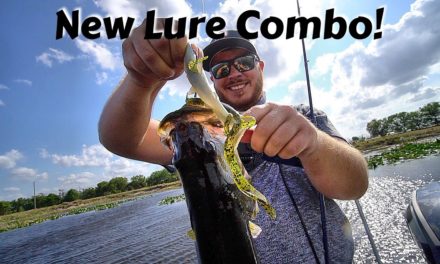 Scott Martin VLOG – Crazy Fishing Lure Combination that Worked!