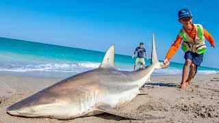BlacktipH – EPIC Day of Beach Fishing for Sharks and Pompano | Fan Episode – 4K