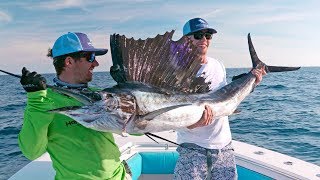 BlacktipH – Fish of a Lifetime for New York Mets Outfielder Brandon Nimmo – 4K