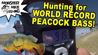 Fishing for WORLD RECORD Peacock Bass | Monster Mike