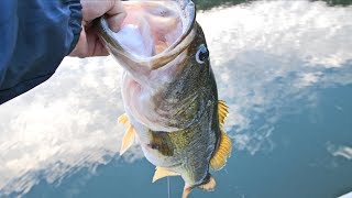 LakeForkGuy – Fishing the Magic Bass Lake Again!