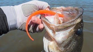 LakeForkGuy – Fishing this CRAZY Cheeto Worm Actually Works!
