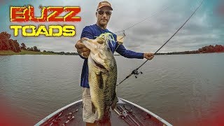How to Catch More Bass with Buzz Toads