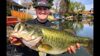 How to bed fish for bass, expert level!