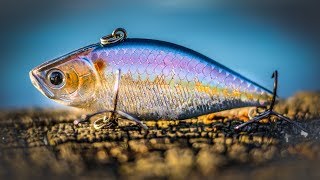 Lipless Crankbaits Tips For Spring Bass Fishing