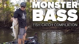 MONSTER BASS FISHING (Fishing Compilation #1)