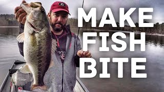 One of the Most Important things in Bass Fishing – How to Fish