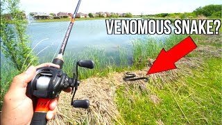 Pond Bass Fishing SNAKE Infested Waters