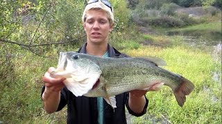 Pond fishing BIG Bass