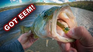 Spring Bank Fishing: What You Need To Know!