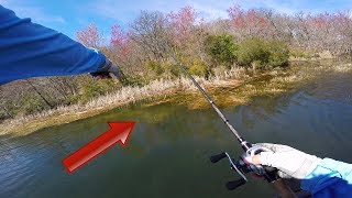 Spring Bass Fishing – How to Catch Bed Fish