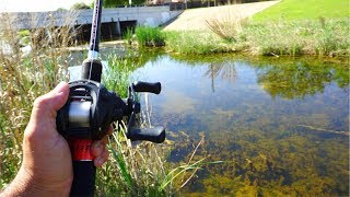 ULTRA CLEAR Creek Fishing for Spawning Bass!!!