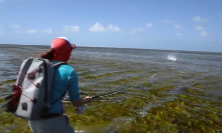 Dan Decible – 2017 Fly Fishing Video – BEST SALTWATER