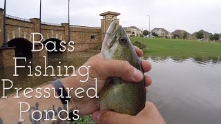 Lunkers TV – Bass Fishing On Pressured Ponds – Flair Edition
