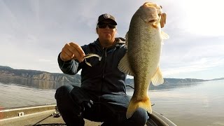 Bass Fishing With Underspins: Big Bass on Small Baits