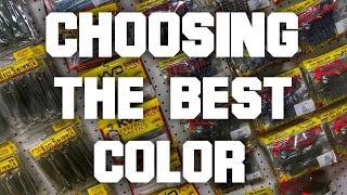 FlukeMaster – Beginner Bass Fishing – How to Choose the Color of Your Lure