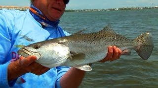 Biggest Speckled Trout Fishing DOA Shrimp Fort Pierce Florida