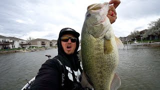 Catching GIANT Bass in INCHES of Water!!!