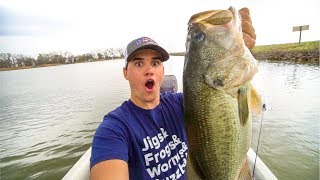 Catching GIANT Bass with Chatterbaits!!!