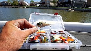 Crankbaits ONLY Bass Fishing CHALLENGE!!!