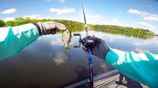 Lunkers TV – First Time Doing This – Bed Fishing Game Changer